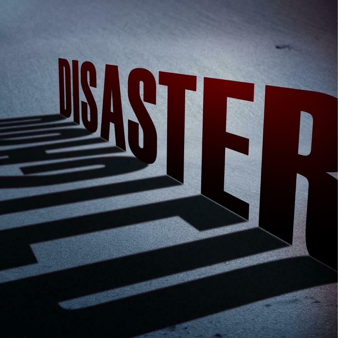 Hayatta Kalmanın Suçluluğu