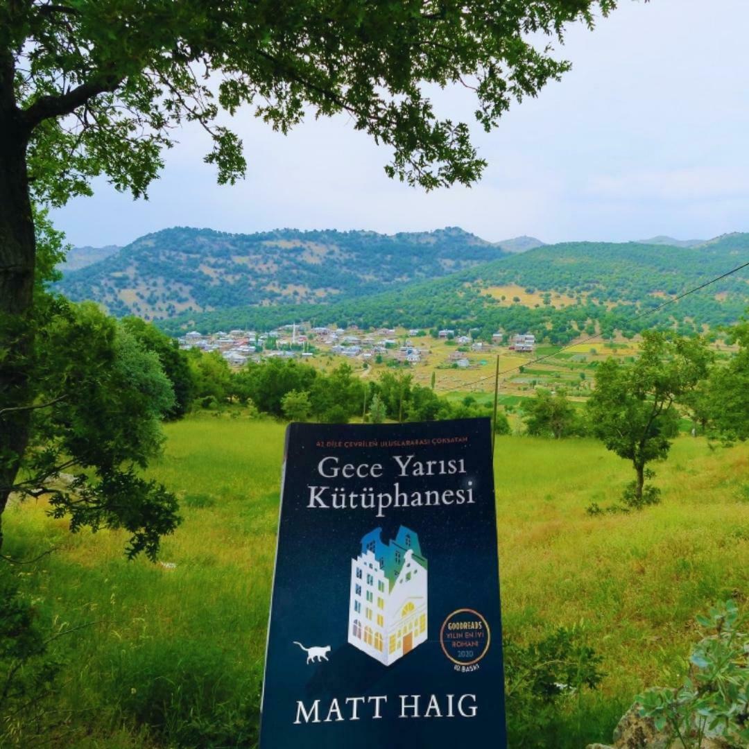 Gece Yarısı Kütüphanesi